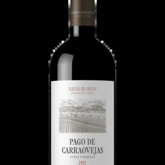 VT PAGO DE CARRAOVEJAS 750 ML 6U/CJ FGNE